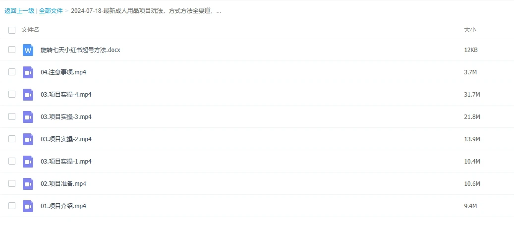 最新成人用品项目玩法,方式方法全渠道,肉眼可见的收益,轻松日入2000+