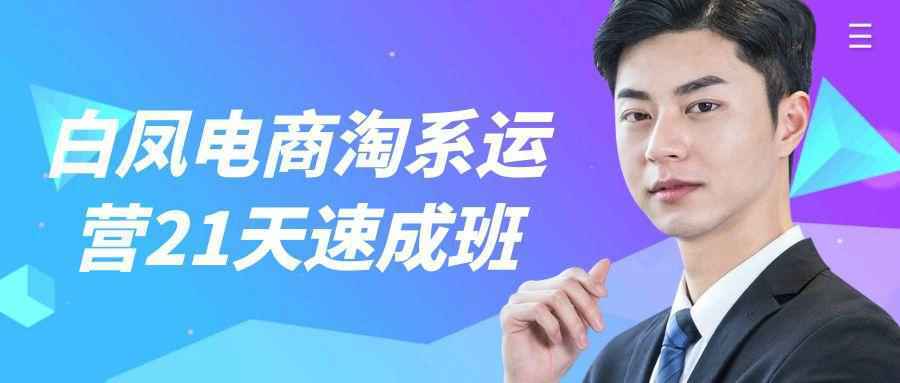 白凤电商淘系运营21天速成班-趣奇资源网-第5张图片