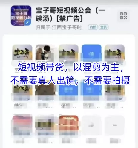 宝子哥头部团队短视频带货，以混剪为主，不需要真人出镜，不需要拍摄【更新26年1月】