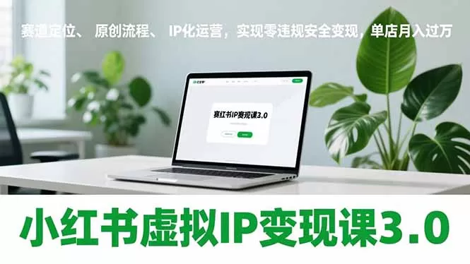小红书虚拟IP变现课3.0，赛道定位、原创流程、IP化运营，实现零违规安全变现，单店月入过万